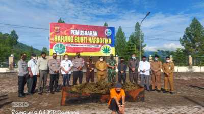 Polres Gayo Lues Musnahkan Barang Bukti 60 Kg Ganja